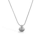 Silver Seashell