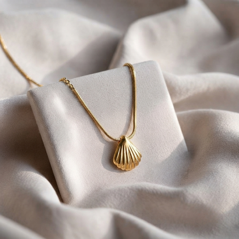 Seashell Glow