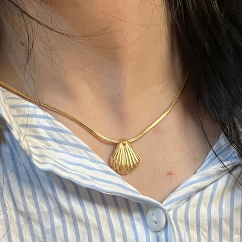 Seashell Glow