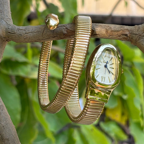 Ivory coil