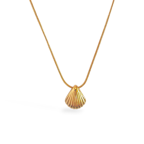 Seashell Glow