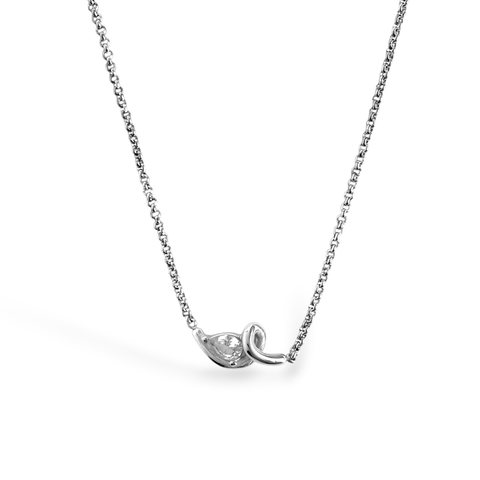 Silver Comet Curl