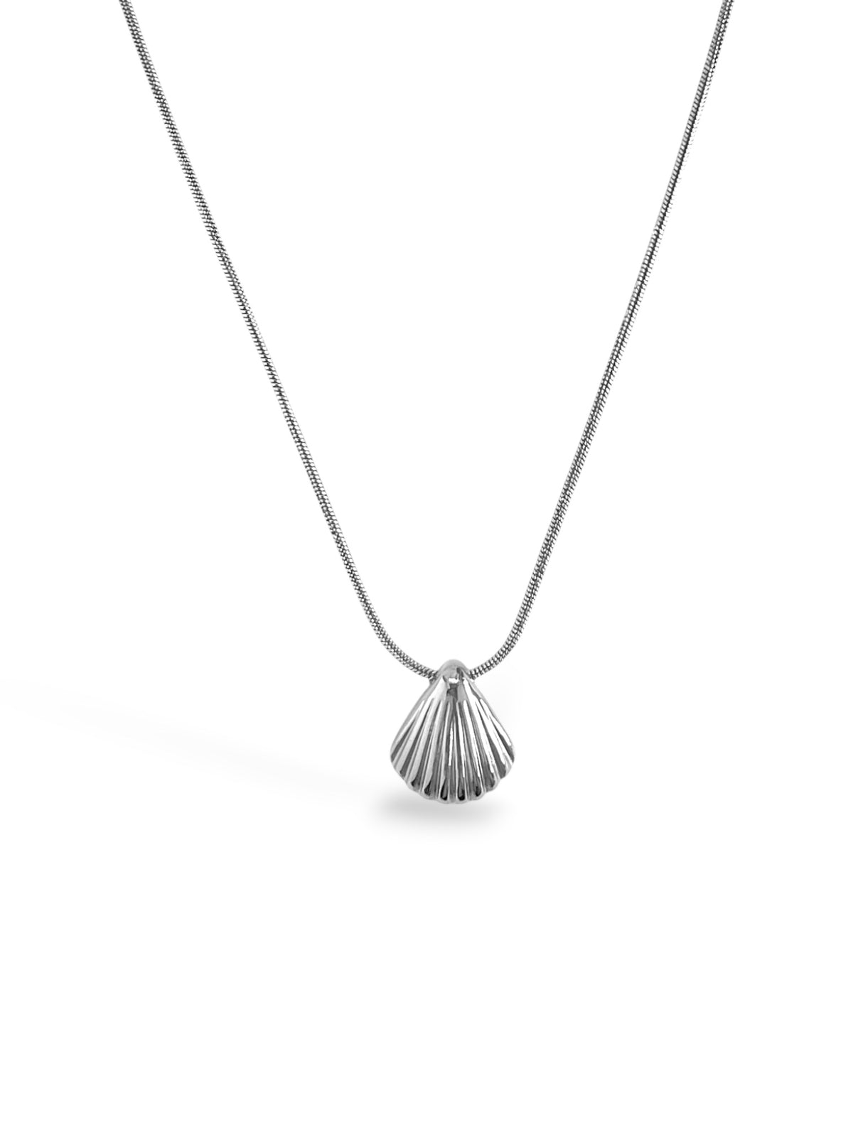 Silver Seashell