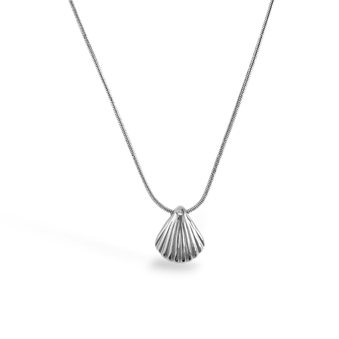 Silver Seashell